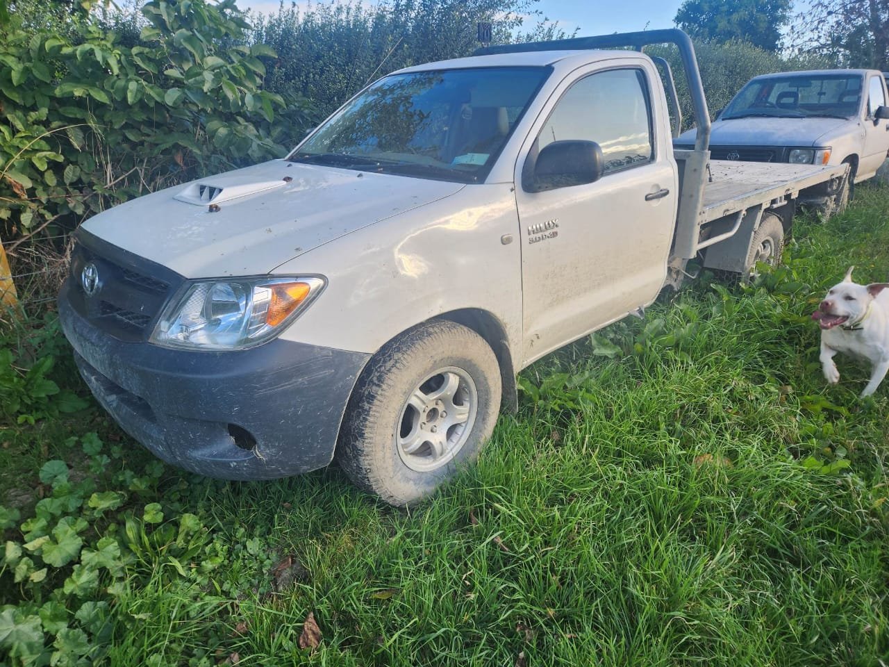 sell car to wreckers hastings